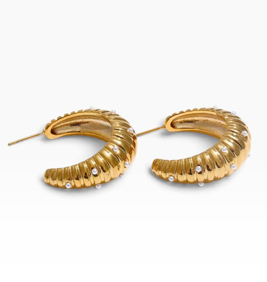 Boucles d'oreilles - Roxy